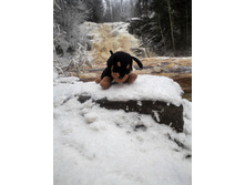 ����� �����-2