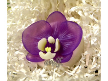 ������� - 150 ���.