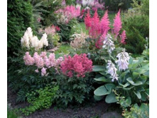 �������� � ����4.jpg