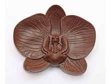 ������� �� �������� 35� ������� ���.jpg