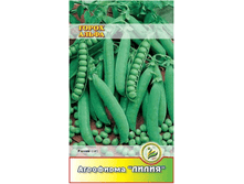 ����� ����� ������	10	8,10 ���.