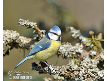 ������������ ���������.jpg