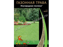 �������� ����� ���������� ������ 100 �� ��������� �������.jpg