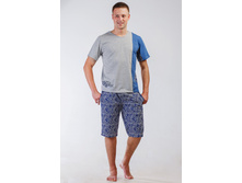 8496 �������� ���. -490 ���