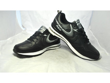 Phoca thumb l 1731 25.jpg