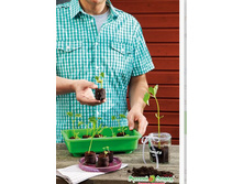 ��������� ��������. 202 ���. �� ����� � ������� 50 ��. ������� 38 ��..JPG