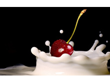 ������ ��������