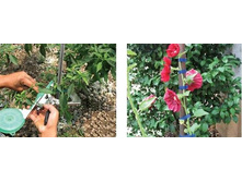 ����� ��� �������� �������� ���. ����.jpg