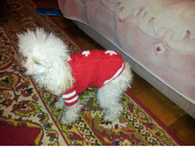 56a7b7d1d049c 20160126210547.jpg