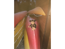 ��� ��� � �����!