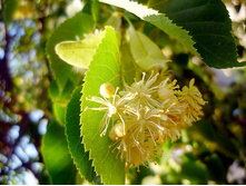 103073425 4059776 60477683 1276853718 1377810.jpg