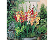 ���������� � ����3.jpg