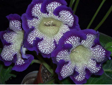 ��������� ������� ��� 3��, 198�.jpg