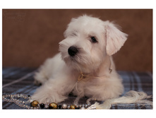 2� �����.JPG