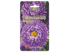 ����� ��������� c���� ����������� ������ ������. 30 ��. 22 ���.jpg