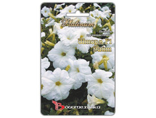 ������� ��������������� ����� F1 ����. 15 ��. 32 ���.jpg