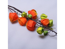 ������� 300790660 294�.jpg