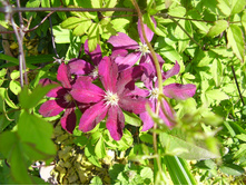 ��������� (12).JPG