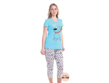 ������ ���.(�������+����� ���.) �207294, 499+%