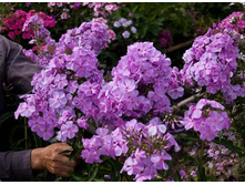 ����� ����� ���� ���. ����.jpg