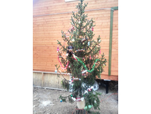 ���������� ������