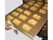 ������������� ������������ ���������� �������