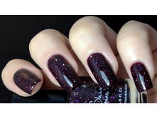 Kbshimmer-a-raisin-to-live.jpg