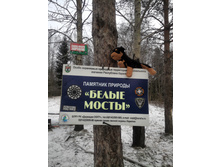 ����� �����