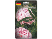 ����� ��������� ����� ������ ����� ������ �����-�������. 100 ��. 16 ���.jpg