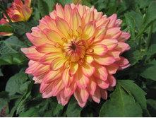 �������� ������� ����� 102�.jpg