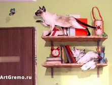 ������� ���� � ������ ���������