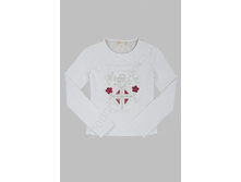 ���. 2035 DLG.jpg