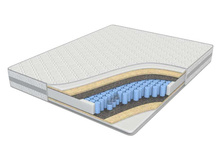 ������ �����