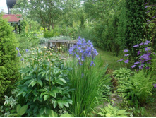 ����� � ����4.jpg