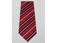 Phoca thumb l 550.JPG