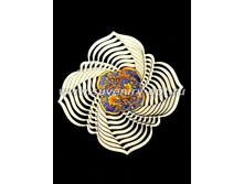 �006 ����� 60 ���.jpg