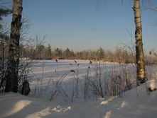 IMG 5837.jpg