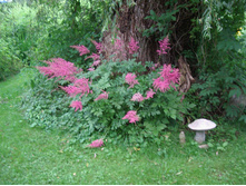 �������� ������� ���. ����2