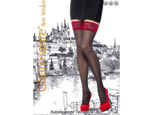 ����� ������� TERRACE 40 aut..png