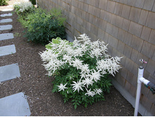 �������� ��������� ���. ����2.jpg