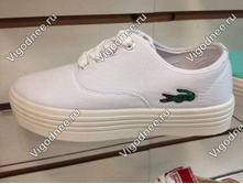 15059 ���� �� ��������� � ����� Lacoste ����� -488 ���.jpg