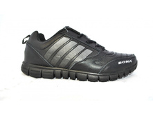 Phoca thumb l 1831 26.jpg