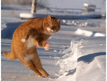 2826525020094287189hyvgOP ph.jpg