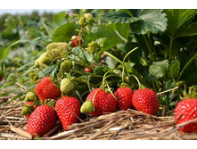 ��������� ������� ��� �������.jpg