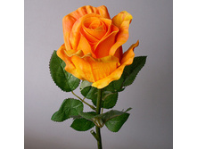 ���� 1080-2 ��������� 184�