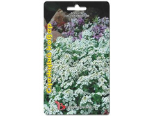 ������� ������� ��ף�. 200 ��. 20 ���.jpg