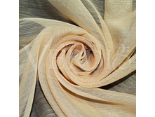 ������ ������-06