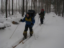 IMG 5877.jpg