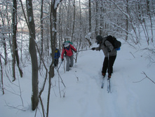 IMG 5934.jpg