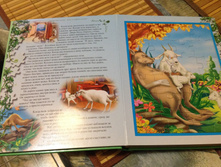 ���. ����